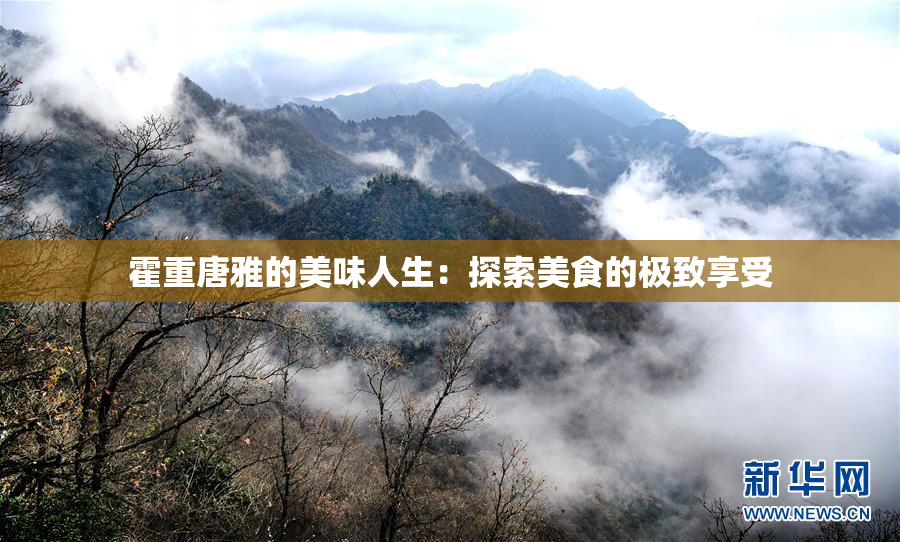 霍重唐雅的美味人生：探索美食的极致享受