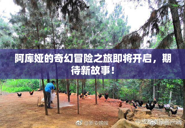 阿库娅的奇幻冒险之旅即将开启，期待新故事！