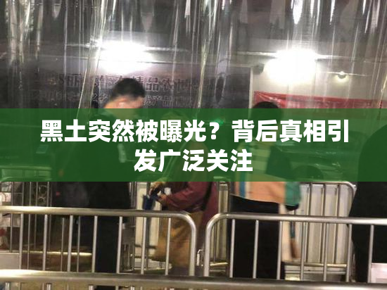 黑土突然被曝光？背后真相引发广泛关注