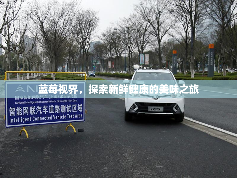 蓝莓视界，探索新鲜健康的美味之旅