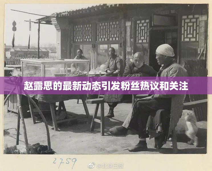 赵露思的最新动态引发粉丝热议和关注