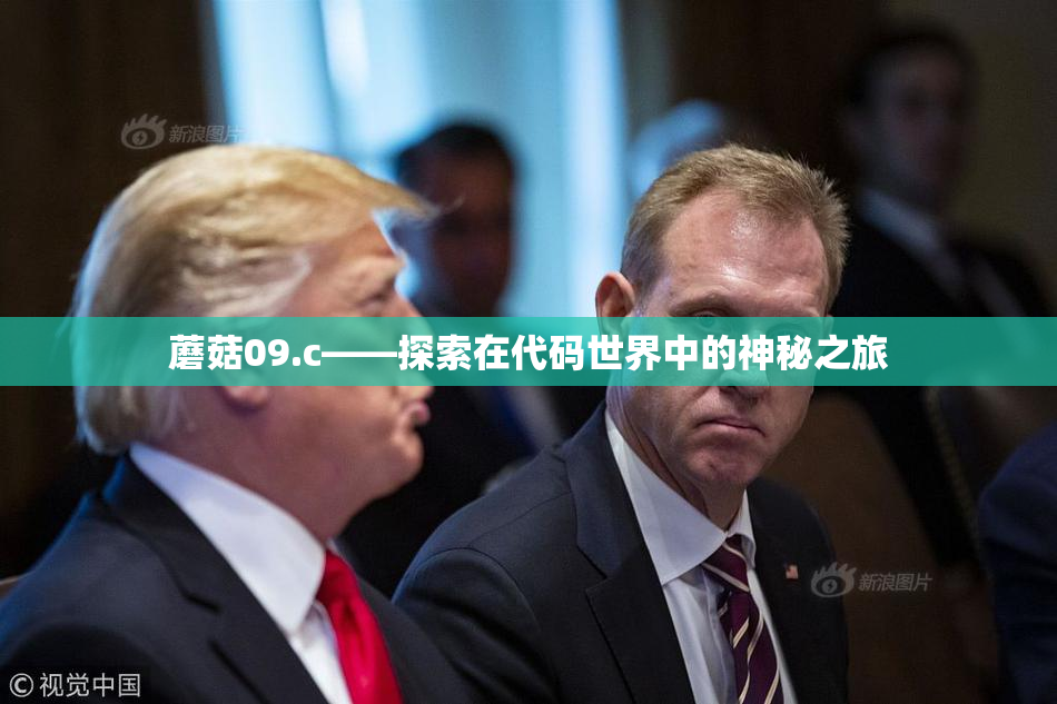蘑菇09.c——探索在代码世界中的神秘之旅