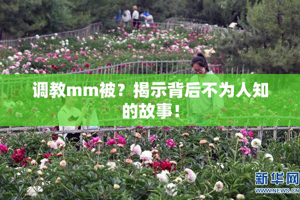 调教mm被？揭示背后不为人知的故事！