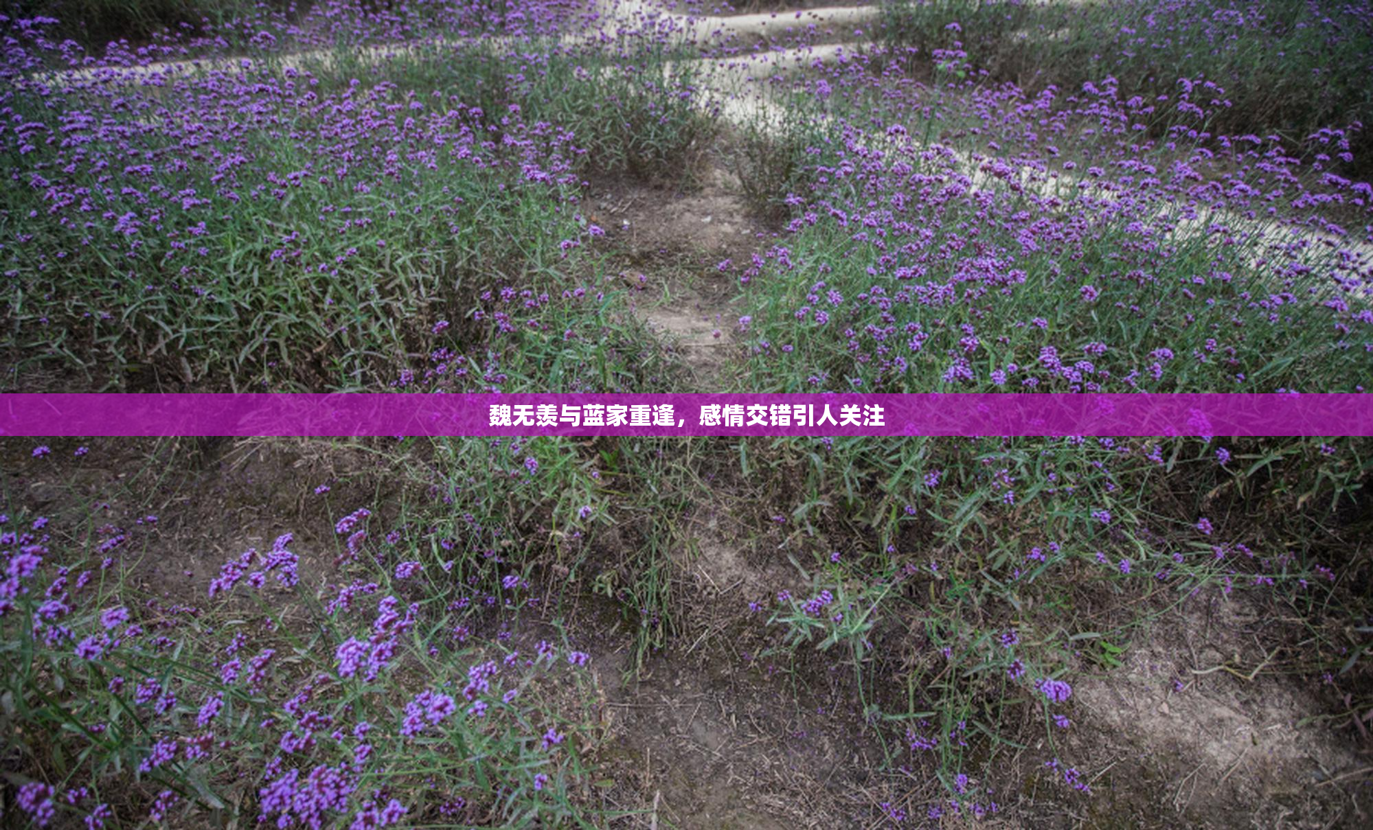 魏无羡与蓝家重逢，感情交错引人关注