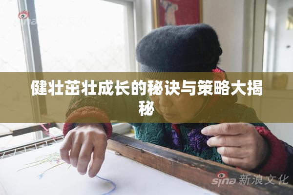 健壮茁壮成长的秘诀与策略大揭秘