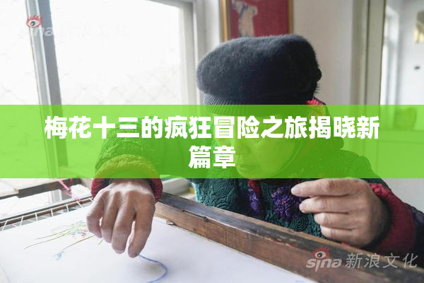 梅花十三的疯狂冒险之旅揭晓新篇章