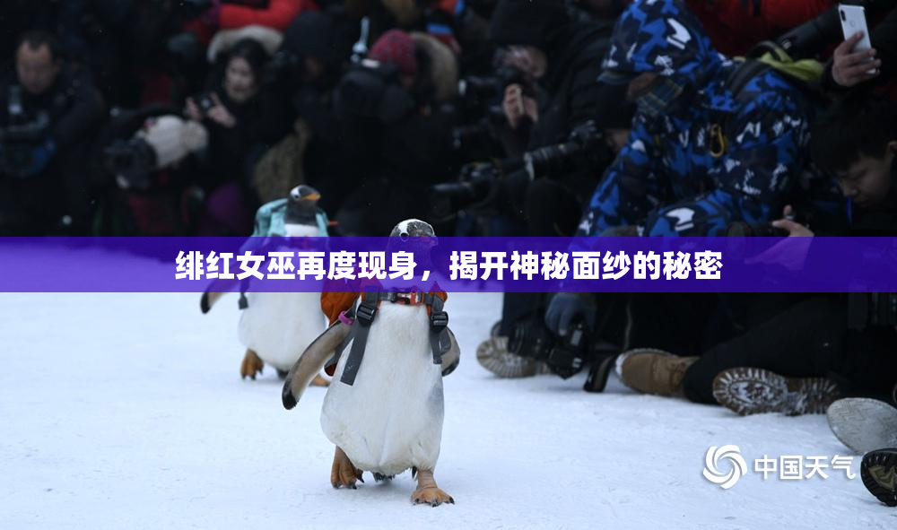 绯红女巫再度现身，揭开神秘面纱的秘密