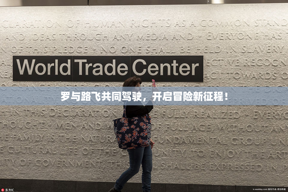 罗与路飞共同驾驶，开启冒险新征程！