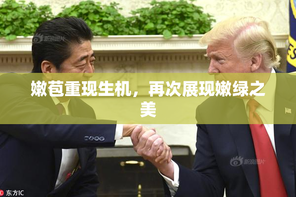嫩苞重现生机，再次展现嫩绿之美