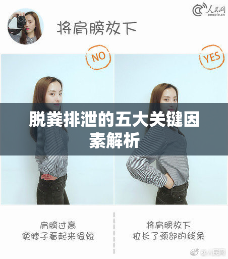 脱粪排泄的五大关键因素解析