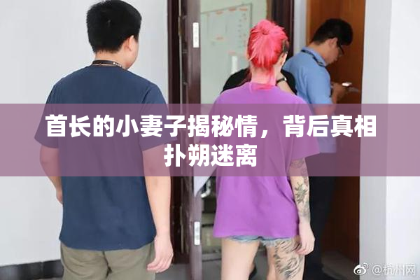 首长的小妻子揭秘情，背后真相扑朔迷离