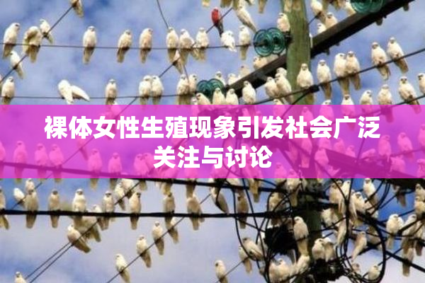 裸体女性生殖现象引发社会广泛关注与讨论