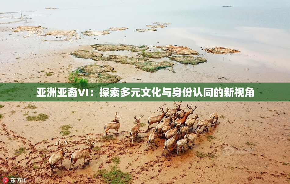 亚洲亚裔VI：探索多元文化与身份认同的新视角