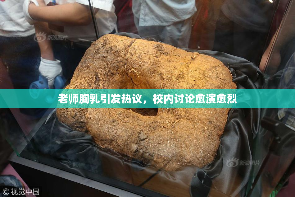 老师胸乳引发热议，校内讨论愈演愈烈
