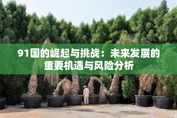 91国的崛起与挑战：未来发展的重要机遇与风险分析