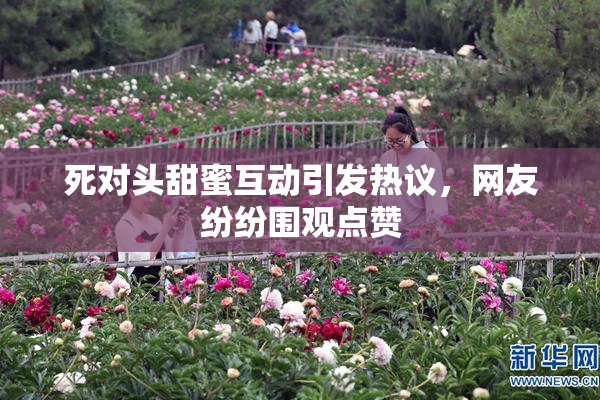 死对头甜蜜互动引发热议，网友纷纷围观点赞
