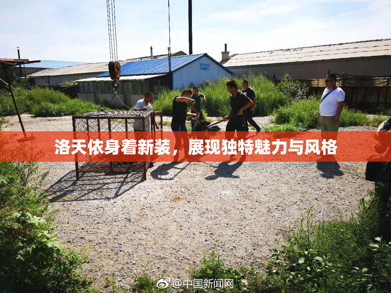 洛天依身着新装，展现独特魅力与风格