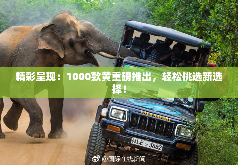 精彩呈现：1000款黄重磅推出，轻松挑选新选择！