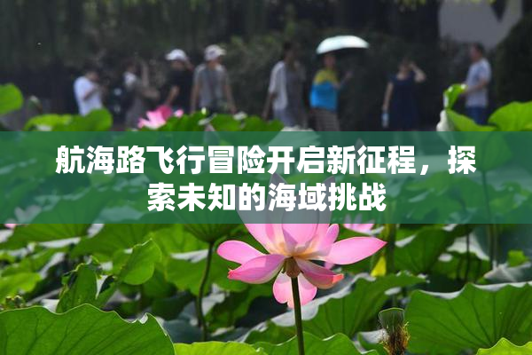 航海路飞行冒险开启新征程，探索未知的海域挑战