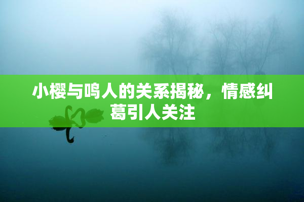 小樱与鸣人的关系揭秘，情感纠葛引人关注