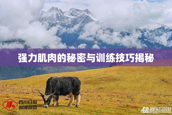 强力肌肉的秘密与训练技巧揭秘
