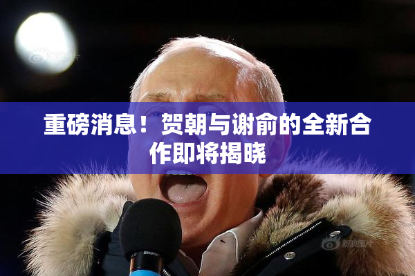 重磅消息！贺朝与谢俞的全新合作即将揭晓