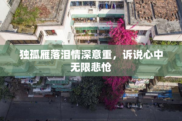 独孤雁落泪情深意重，诉说心中无限悲怆