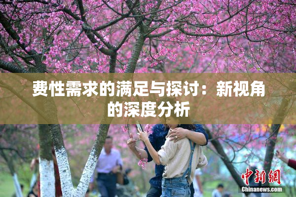 费性需求的满足与探讨：新视角的深度分析