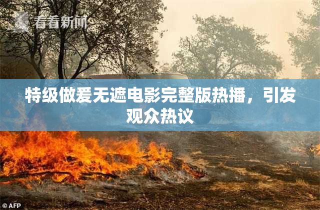特级做爰无遮电影完整版热播，引发观众热议