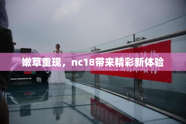 嫩草重现，nc18带来精彩新体验