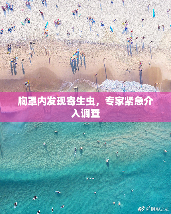 胸罩内发现寄生虫，专家紧急介入调查