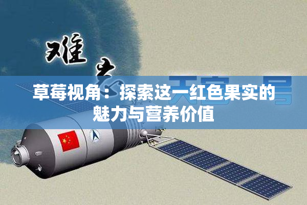 草莓视角：探索这一红色果实的魅力与营养价值
