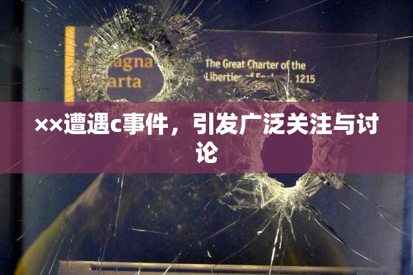 ××遭遇c事件，引发广泛关注与讨论