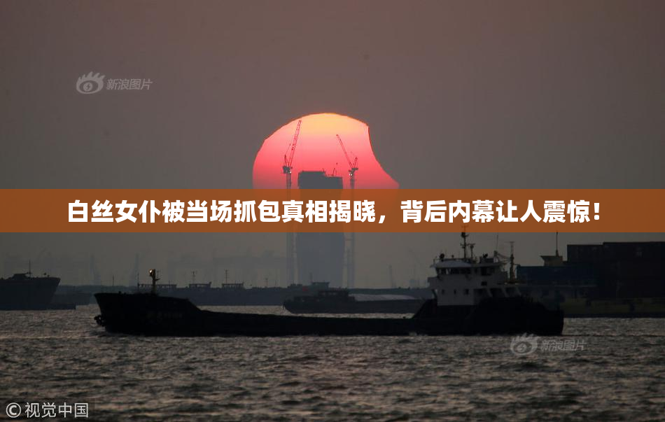 白丝女仆被当场抓包真相揭晓，背后内幕让人震惊！