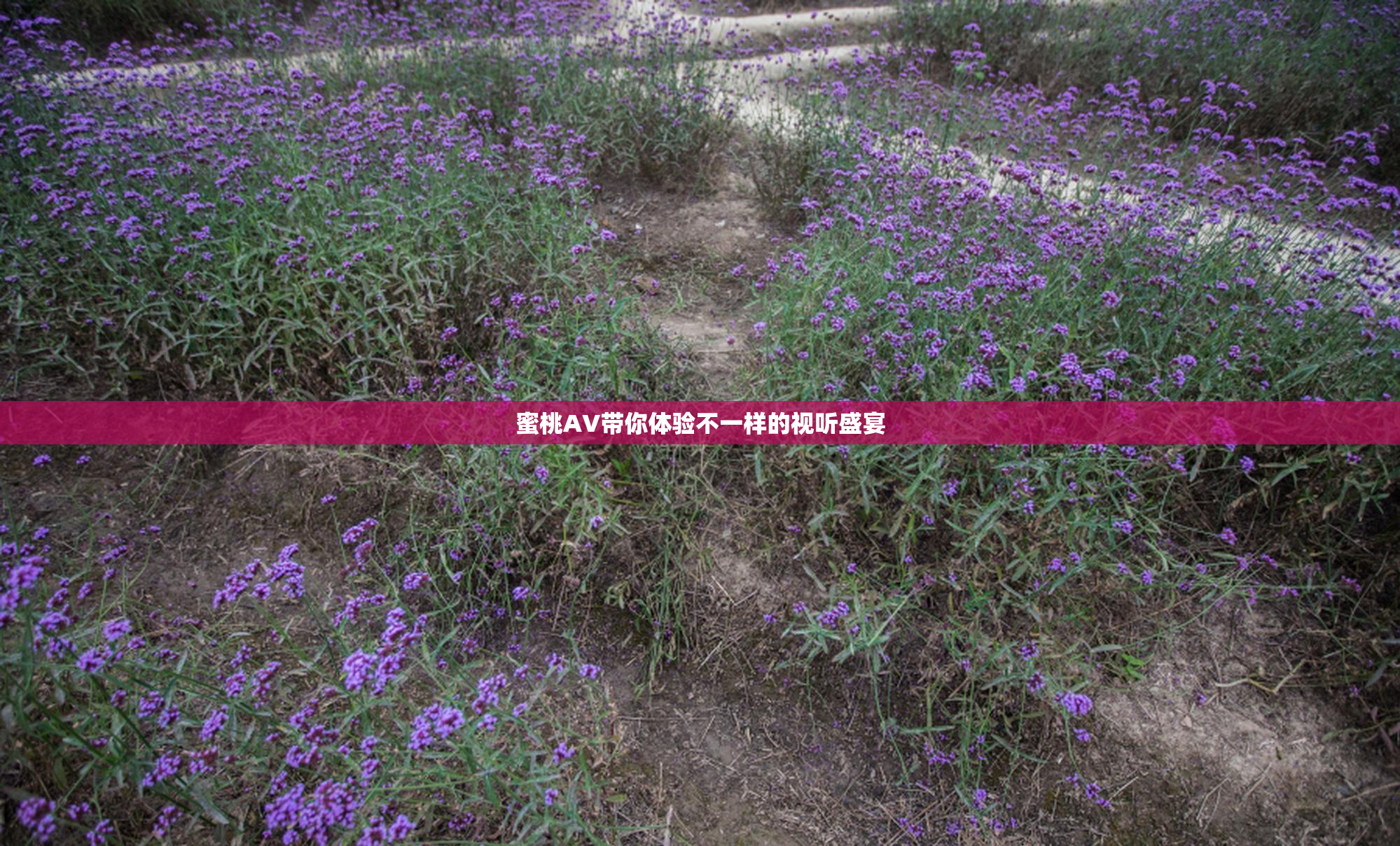 蜜桃AV带你体验不一样的视听盛宴