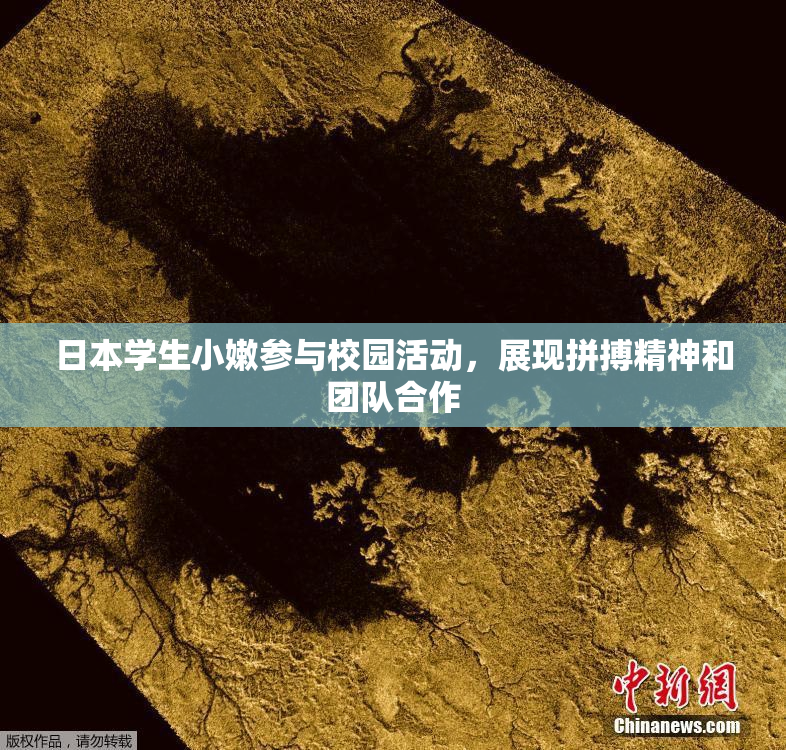 日本学生小嫩参与校园活动，展现拼搏精神和团队合作