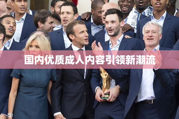 国内优质成人内容引领新潮流
