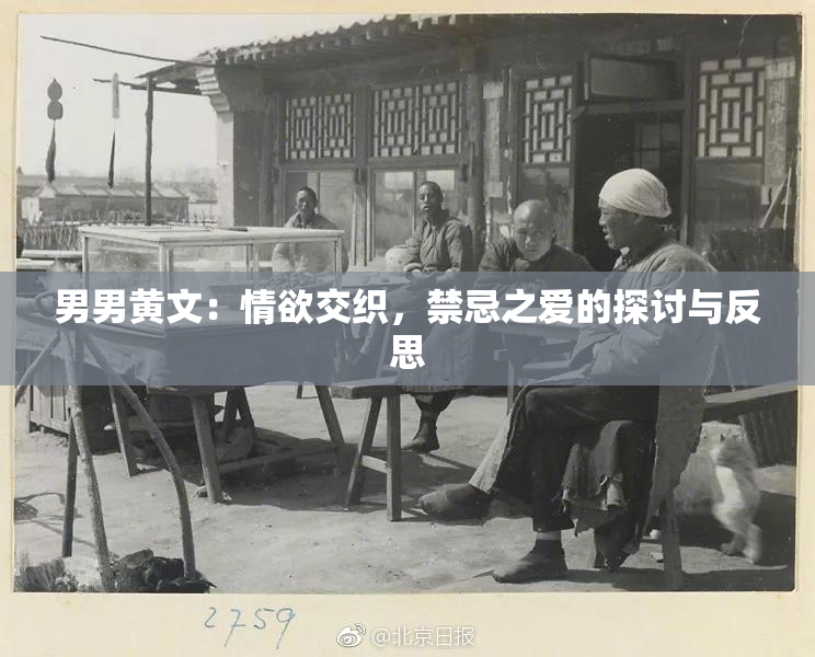 男男黄文：情欲交织，禁忌之爱的探讨与反思