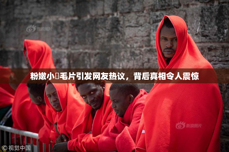 粉嫩小泬毛片引发网友热议，背后真相令人震惊