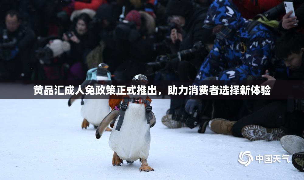 黄品汇成人免政策正式推出，助力消费者选择新体验
