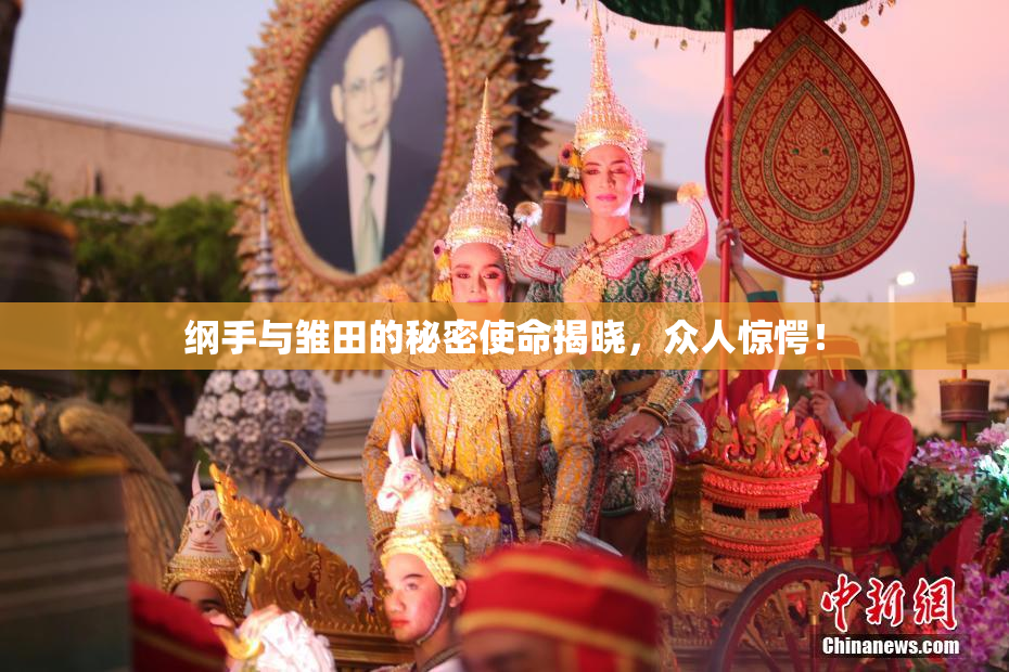纲手与雏田的秘密使命揭晓，众人惊愕！