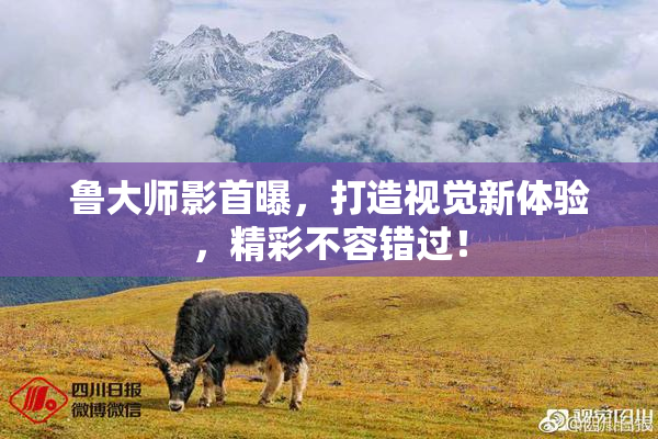 鲁大师影首曝，打造视觉新体验，精彩不容错过！