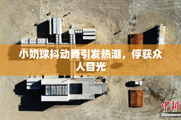 小奶球抖动舞引发热潮，俘获众人目光