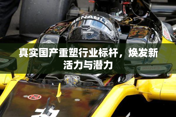 真实国产重塑行业标杆，焕发新活力与潜力