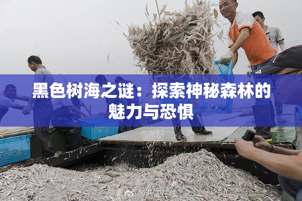 黑色树海之谜：探索神秘森林的魅力与恐惧