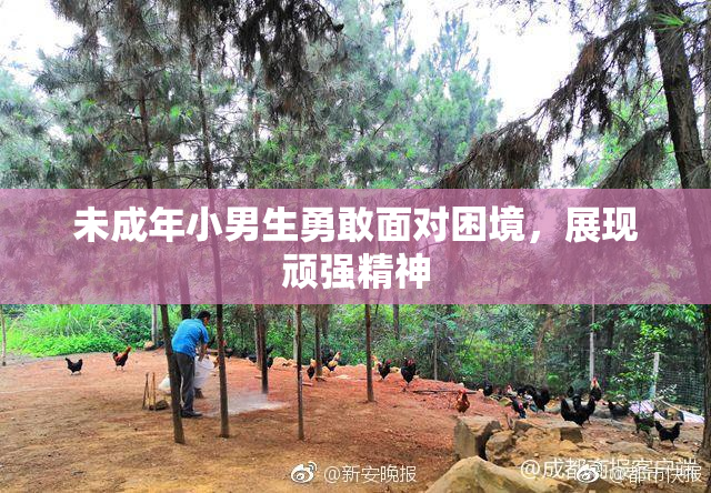 未成年小男生勇敢面对困境，展现顽强精神