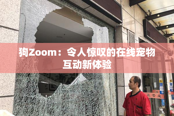 狗Zoom：令人惊叹的在线宠物互动新体验