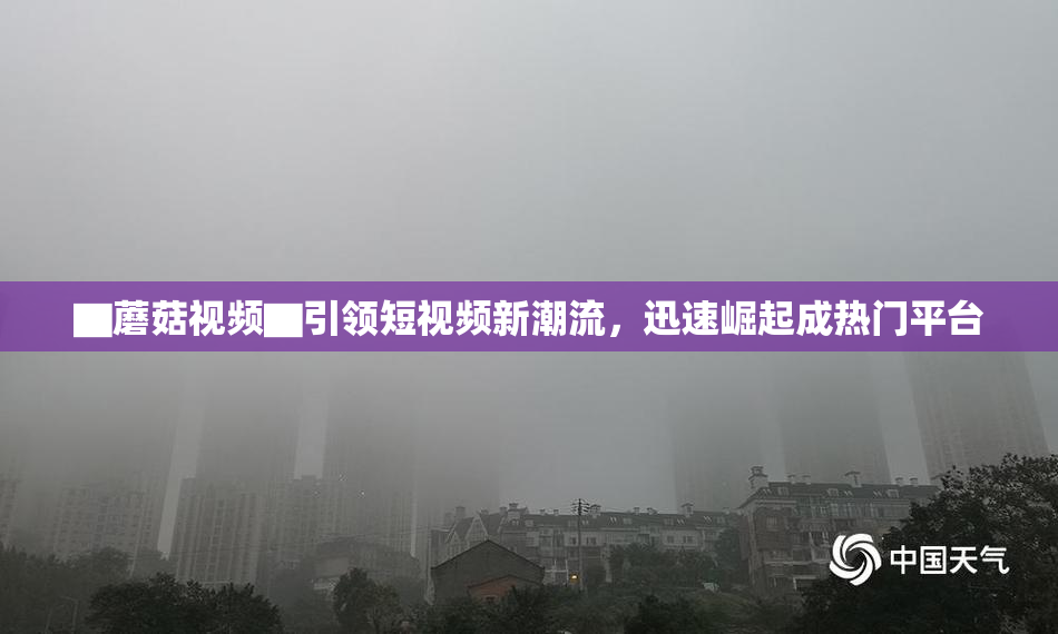 ▇蘑菇视频▇引领短视频新潮流，迅速崛起成热门平台