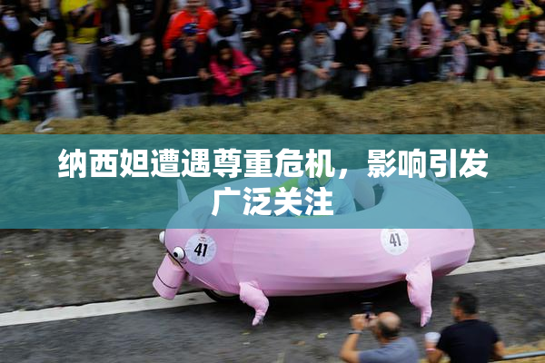 纳西妲遭遇尊重危机，影响引发广泛关注