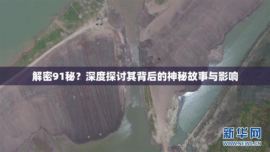 解密91秘？深度探讨其背后的神秘故事与影响